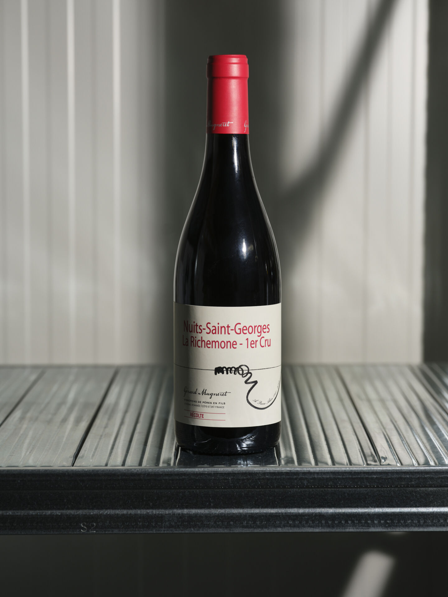 Nuits-Saint-Georges 1er Cru “La Richemone”